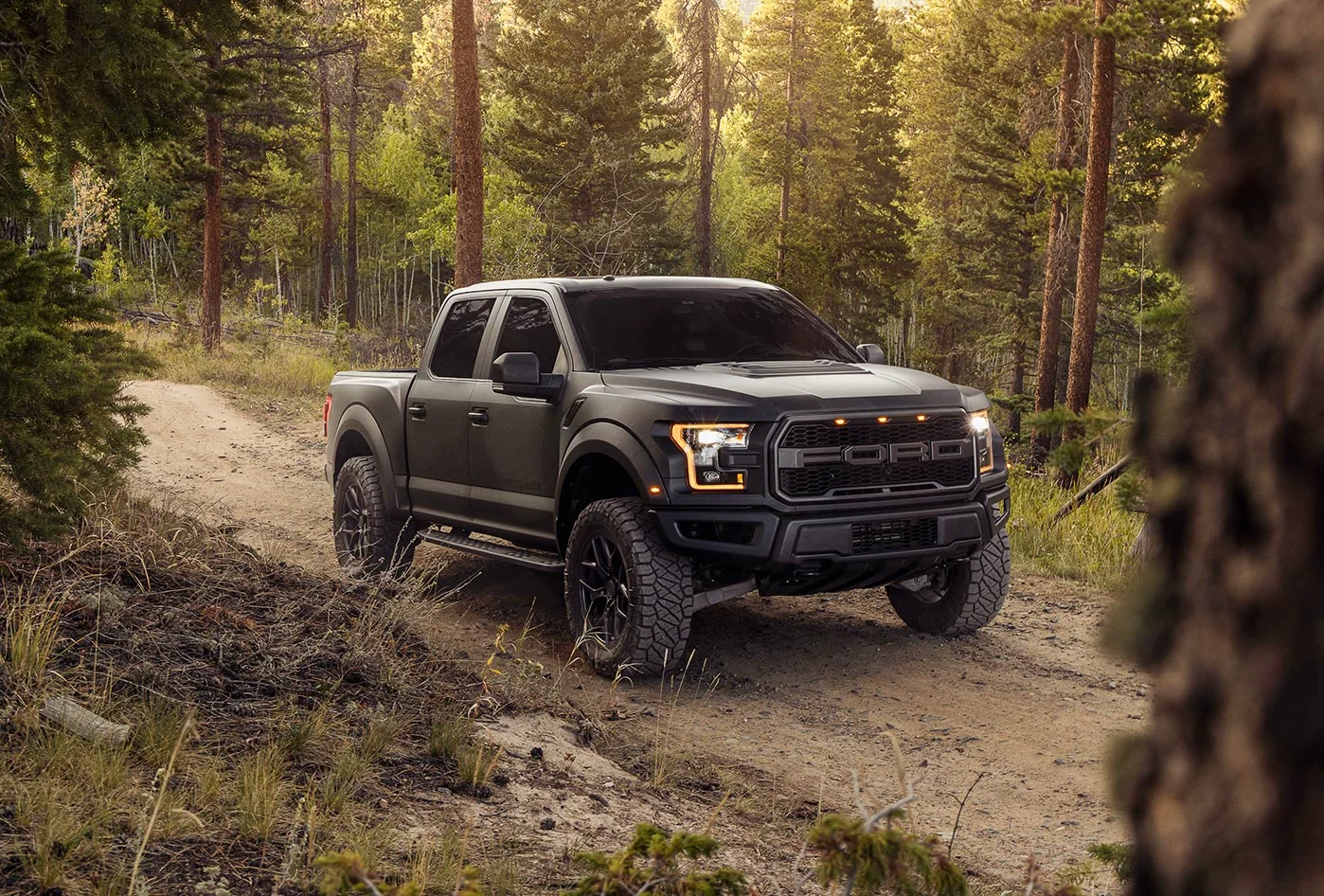 Ford Raptor matte black wrap